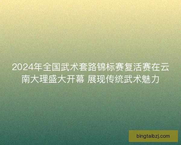 2024年全国武术套路锦标赛复活赛在云南大理盛大开幕 展现传统武术魅力